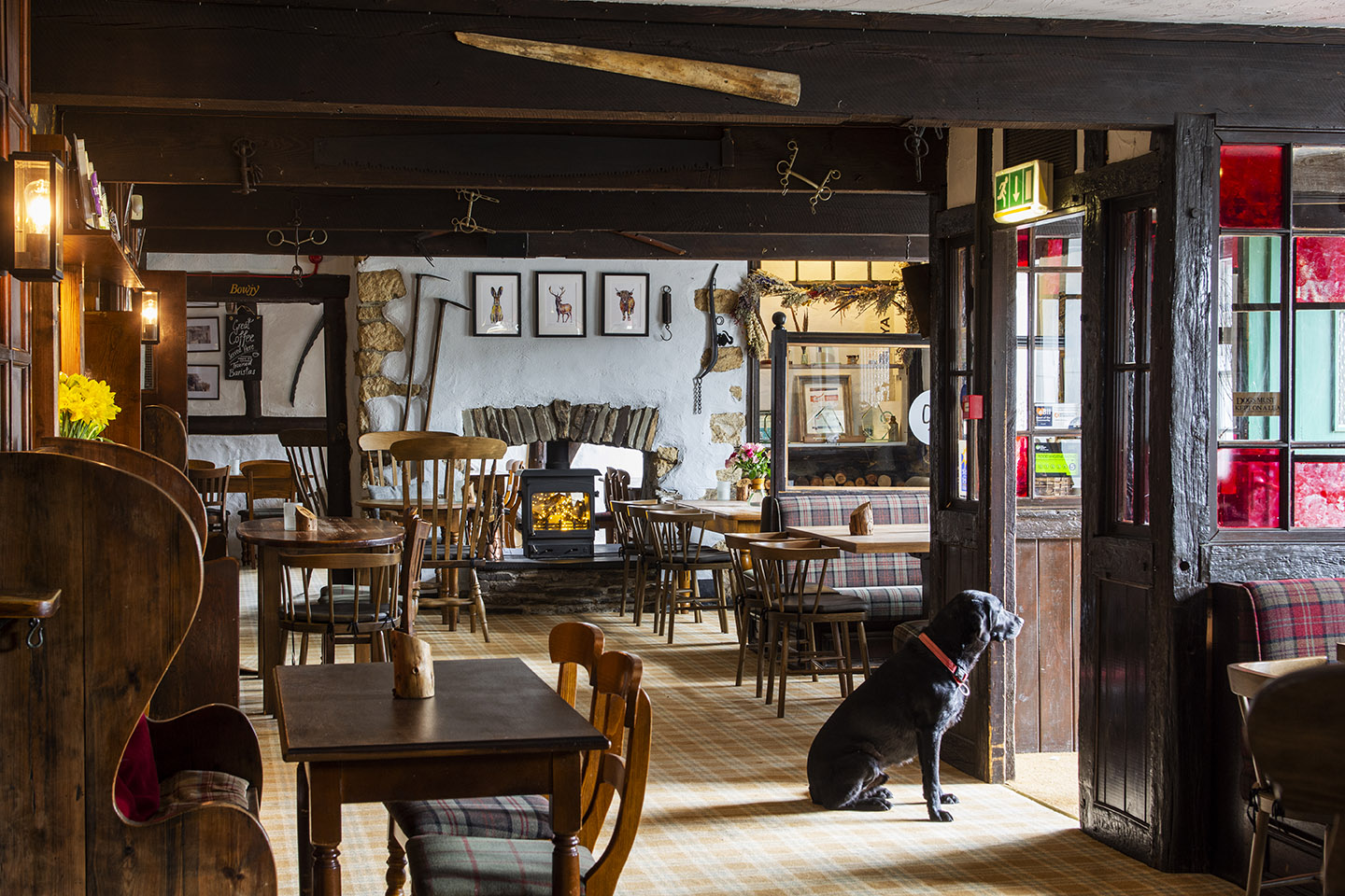 Image shows the cosy interior of the Polgooth Inn pub with Jonah the black lab sitting in the doorway