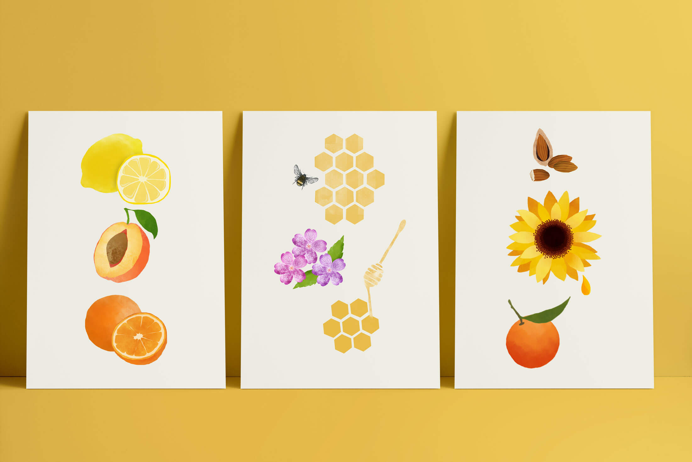 Three posters featuring illustrations of botanicals and ingredients