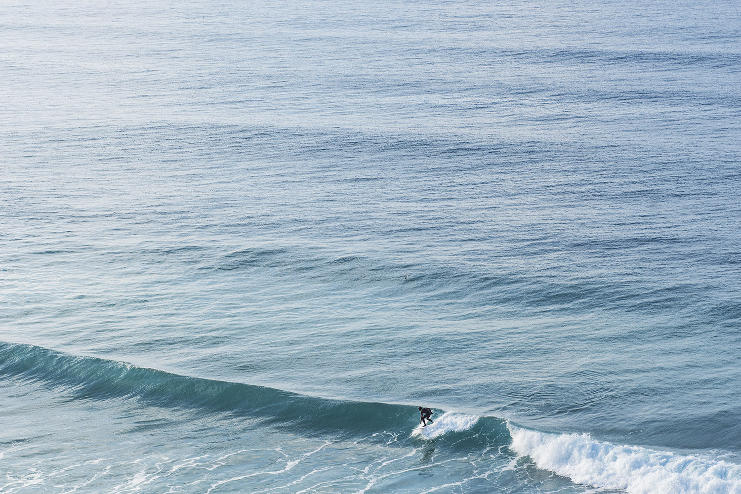 View from the cliff path on the North Cornish coast of a lone surfer catching a wave