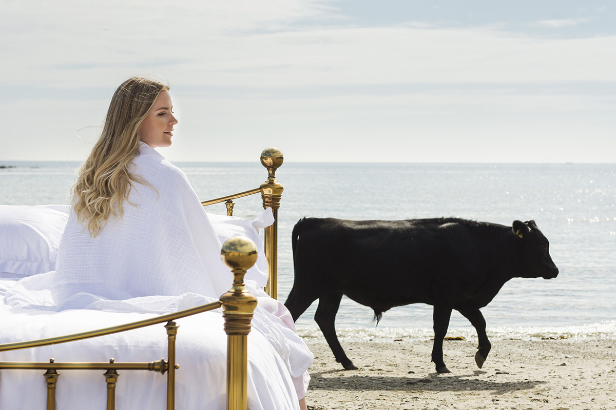 Model sits on a brass bed with white linens on a beach with a dexter cow wandering past in the background