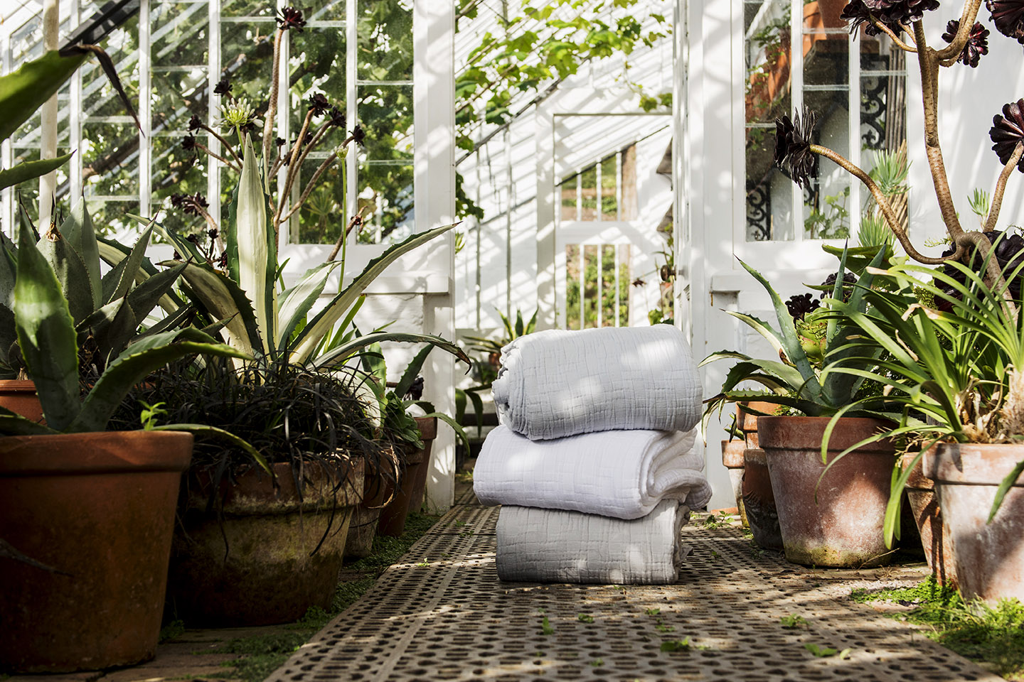 A stack of folded bed throws surrounded by succulents in the old glasshouse at the Lost Gardens of Heligan