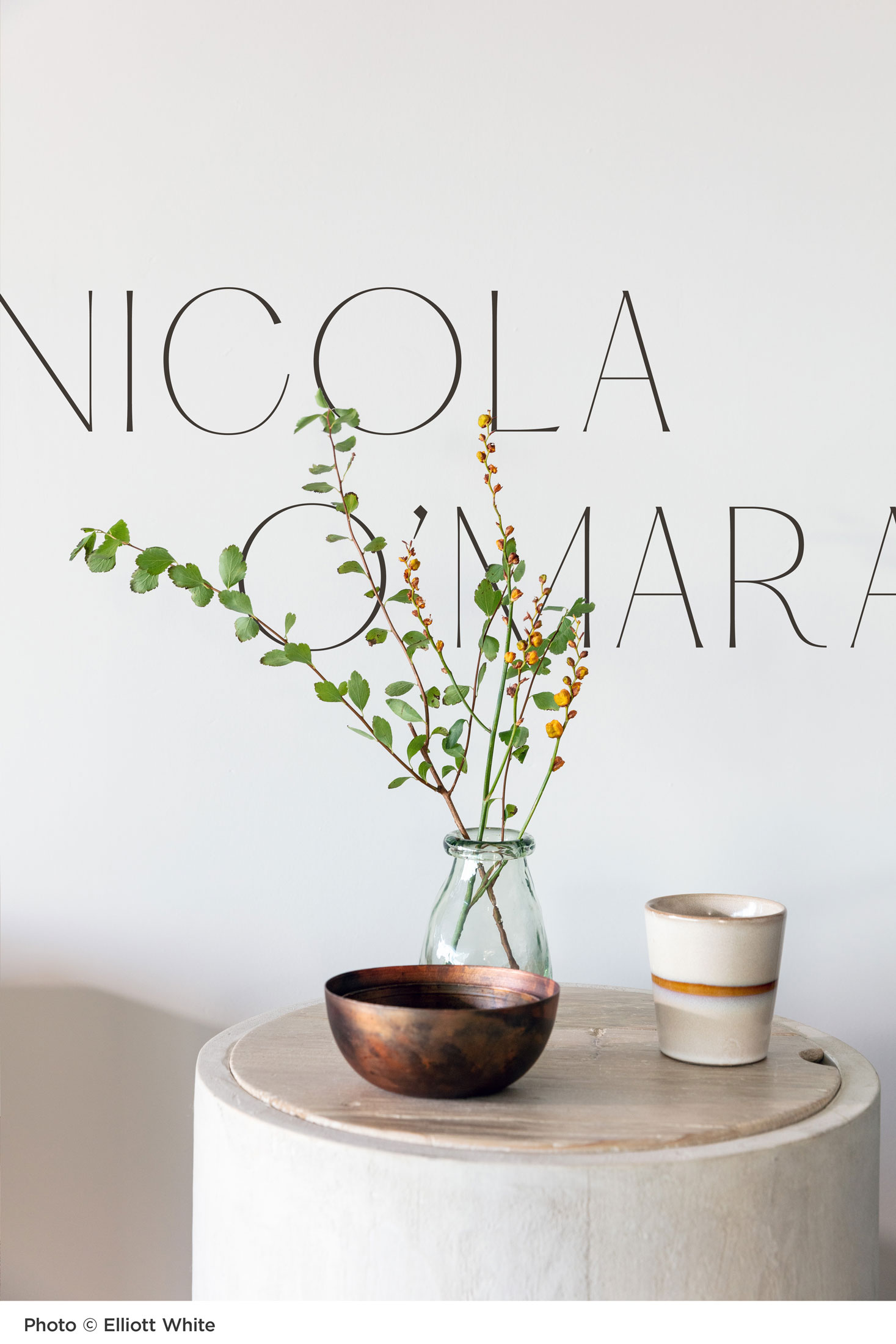 postcard design for Nicola O'Mara Interior Design featuring a round occasional table with plant and wooden bowl