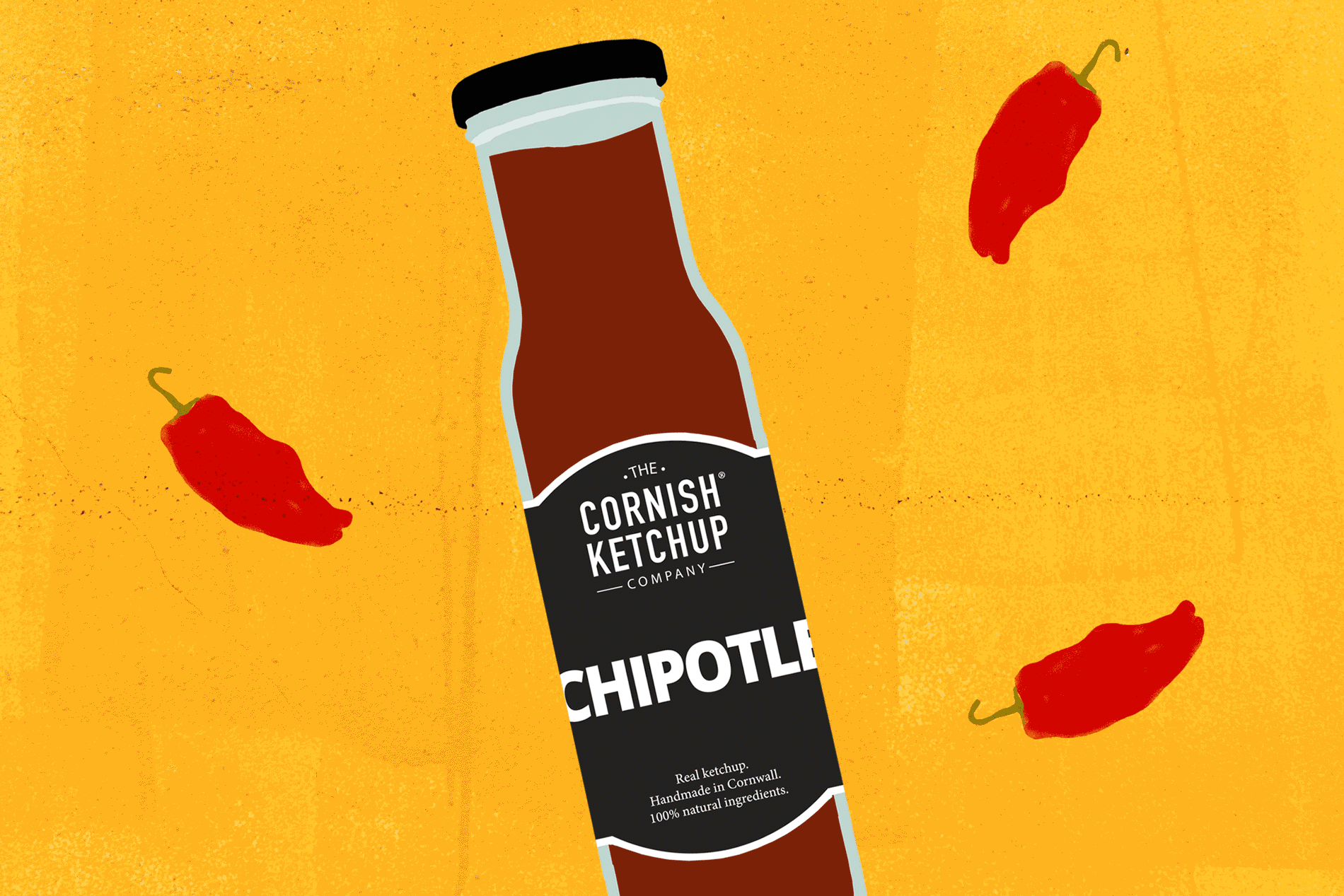 illustrations of bottles of chipotle, red pepper and smokey ketchup on brightly coloured backgrounds